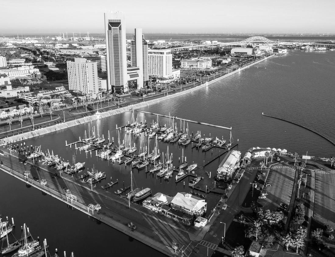 Noah Jigsaw Puzzle Grand Rapids City at night in Michigan USA in black white 1000 pieces