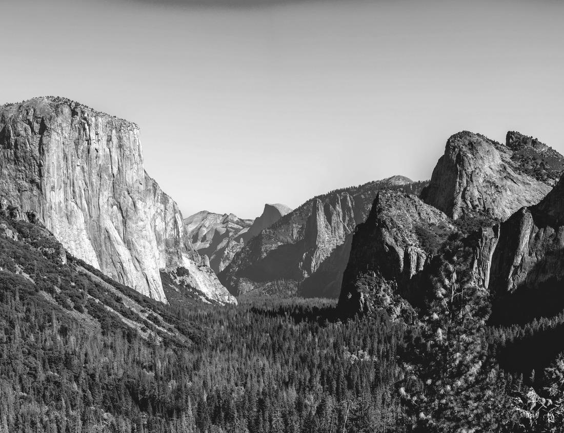 Noah Jigsaw Puzzle The pagoda of Kiyomizu-dera in Kyoto, Japan in black white 1000 pieces