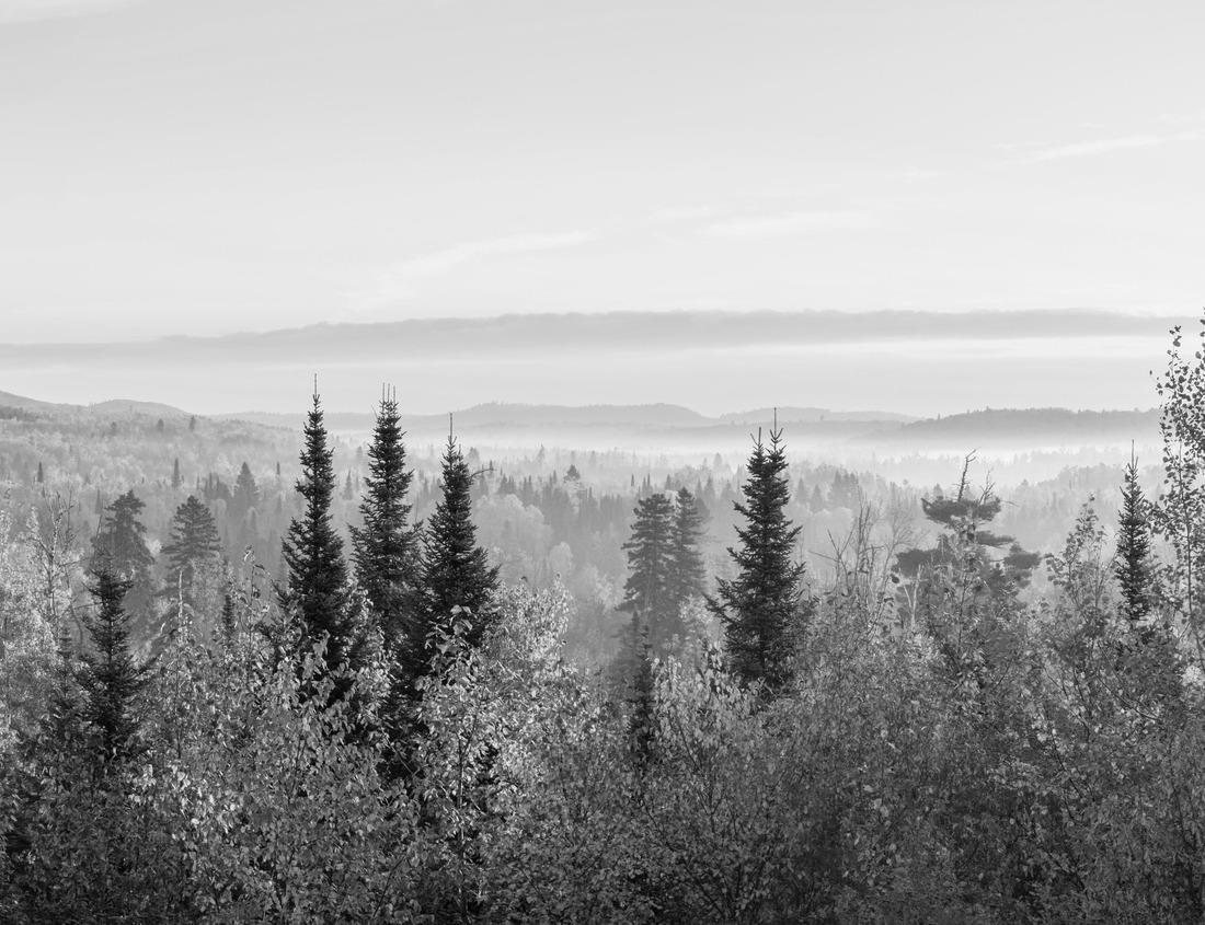 Noah Jigsaw Puzzle Chicago. Picture of downtown Chicago and Chicago River with bridges at sunset in black white 1000 pieces