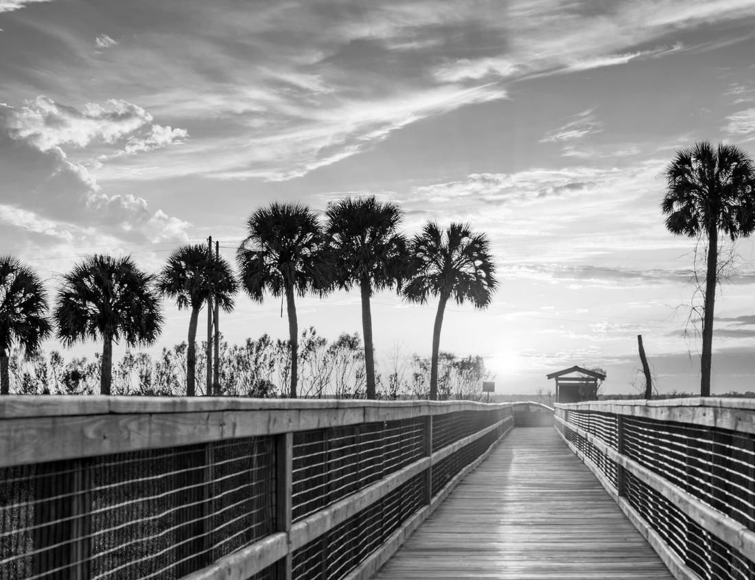 Noah Jigsaw Puzzle Victorian Houses in the Eureka downtown in California in black white 1000 pieces