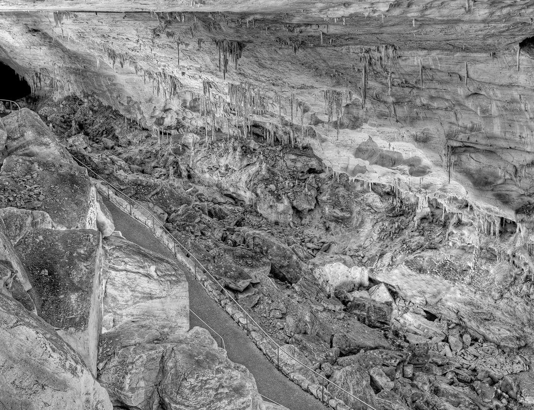 Noah Jigsaw Puzzle Skyline of Raleigh, NC in black white 1000 pieces