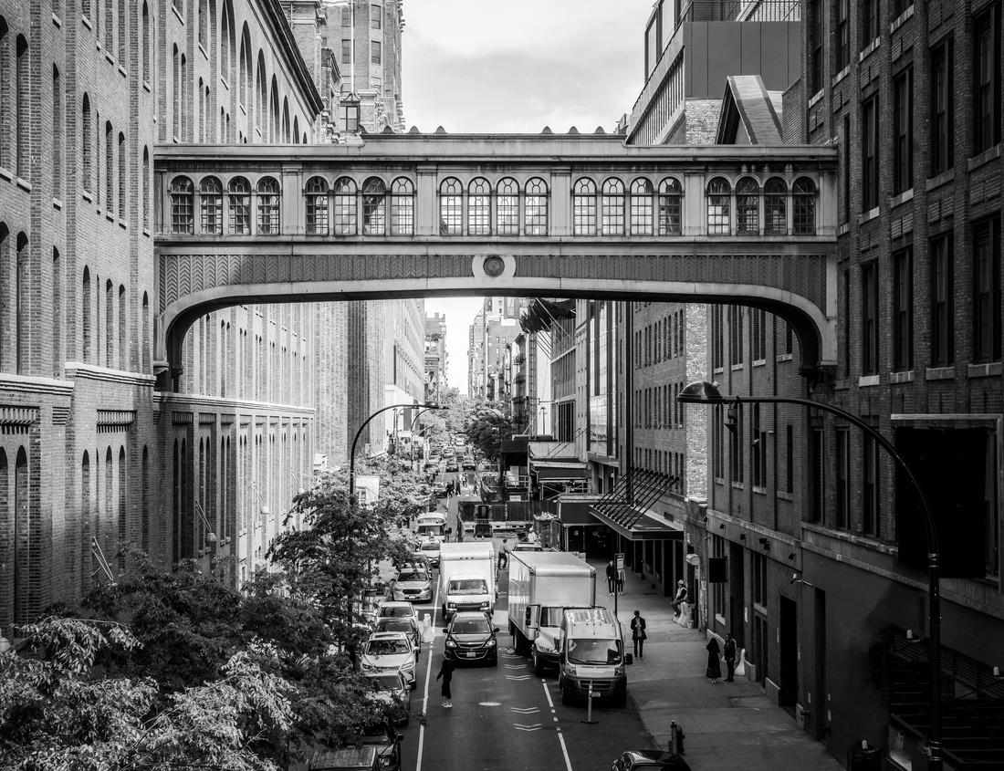 Noah Jigsaw Puzzle Temple of the Golden Pavilion on Kyoto, Japan in black white 1000 pieces