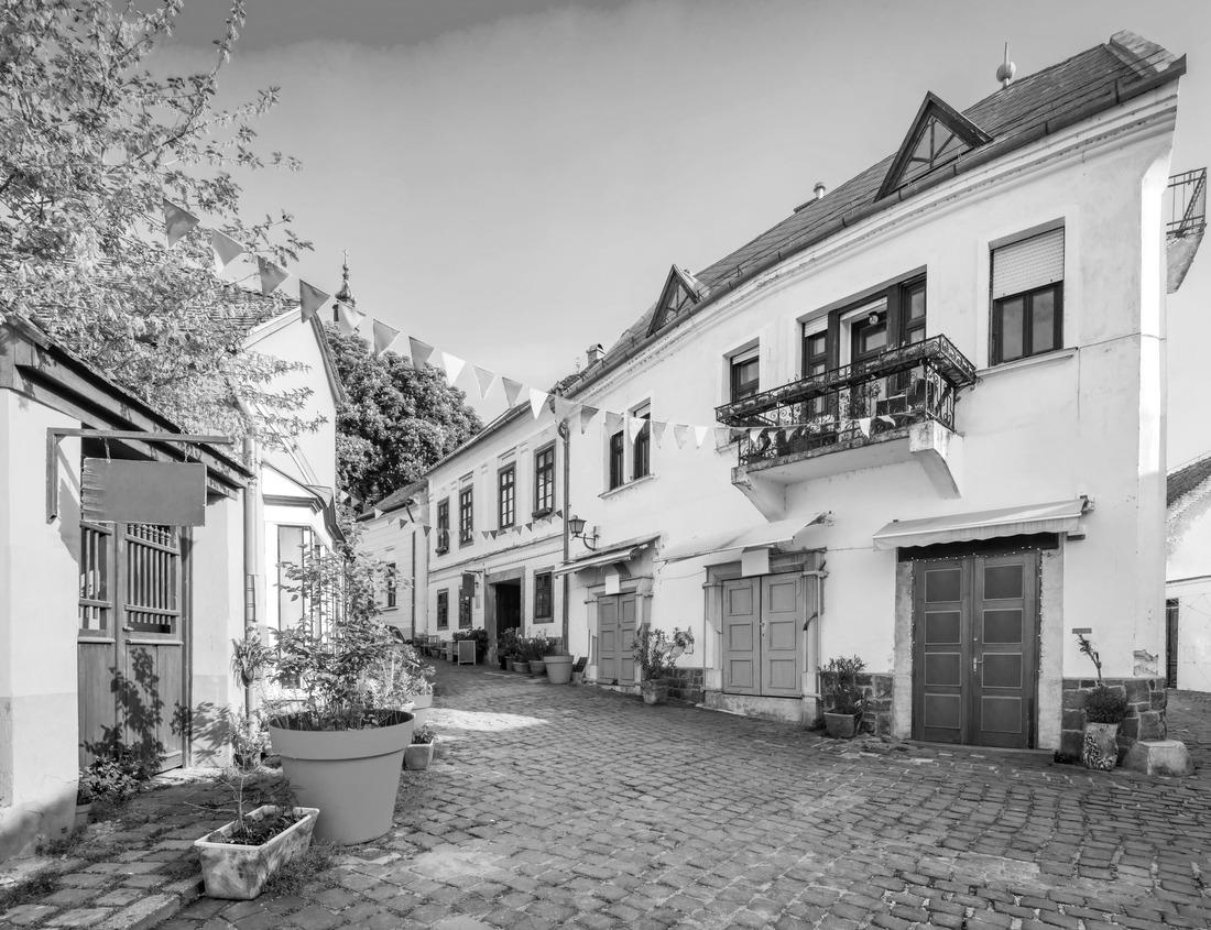 Noah Jigsaw Puzzle Panoramic view from the Pyramid of Inscriptions and the Palace of theObservatory Tower in the ancient Mayan city of Palenque in black white 1000 pieces