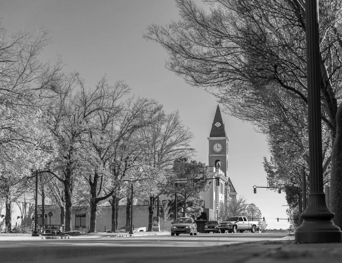 Noah Jigsaw Puzzle To-ji Pagoda in Kyoto, Japan during the fall season in black white 1000 pieces