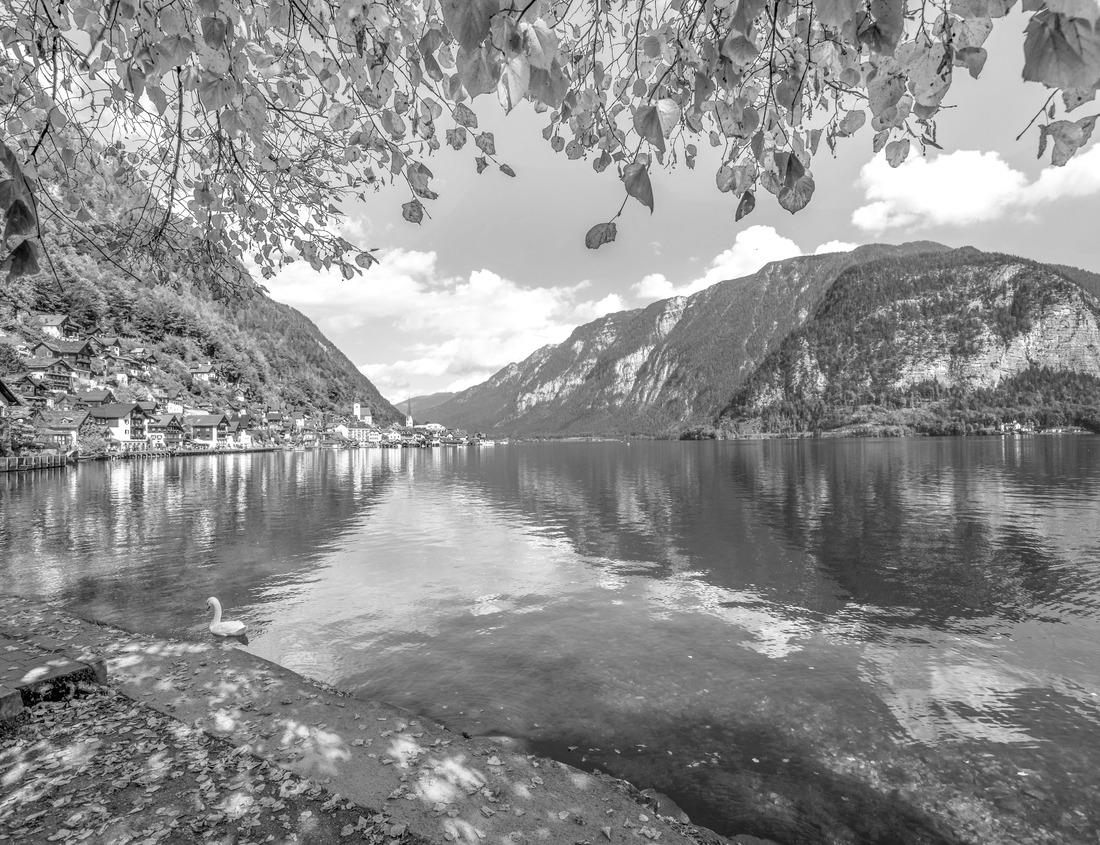 Noah Jigsaw Puzzle The Forbidden City, Beijing, China in black white 1000 pieces