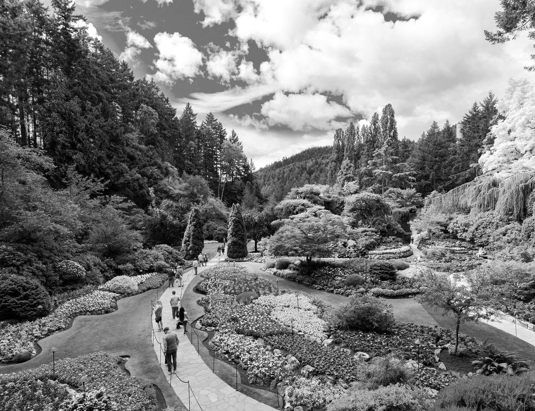Noah Jigsaw Puzzle City of Denver Skyline. City Park Landscape. Capital of the U.S. State of Colorado in black white 1000 pieces