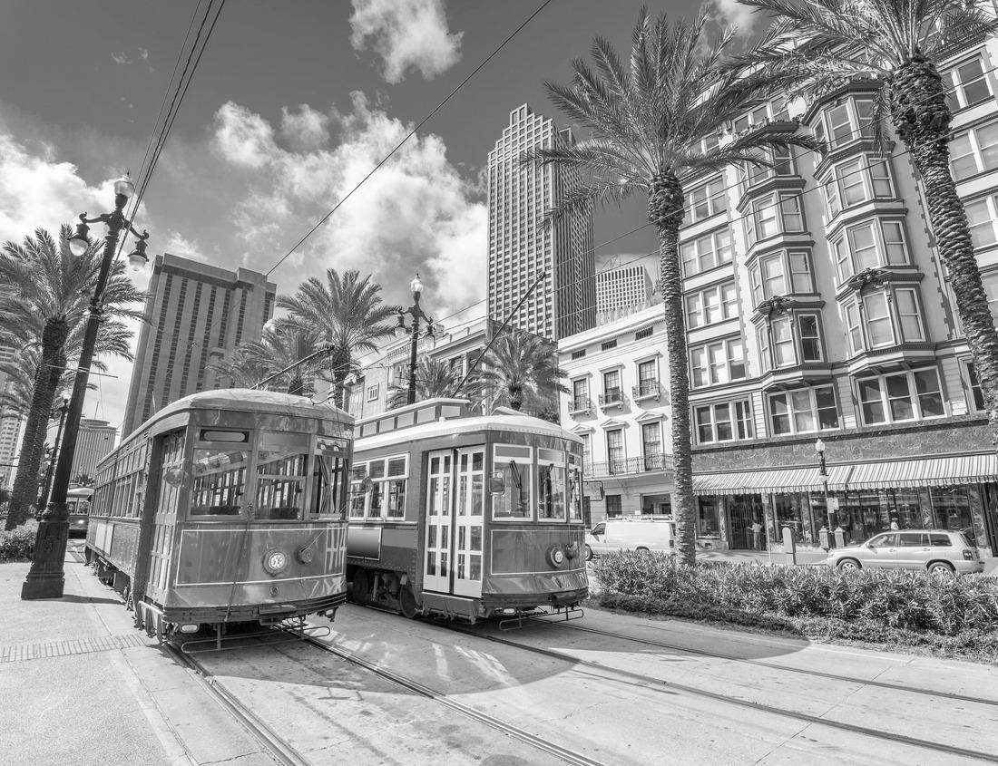 Noah Jigsaw Puzzle Athens, Georgia, USA downtown cityscape in black white 1000 pieces