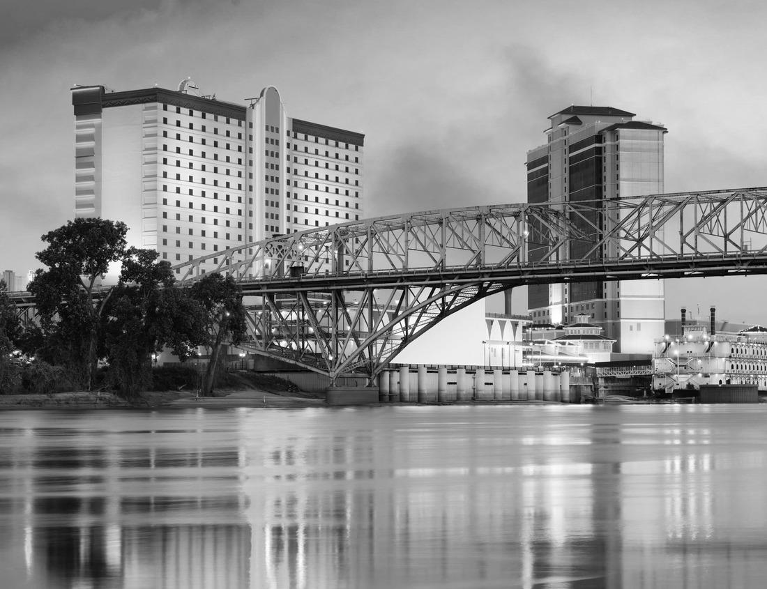 Noah Jigsaw Puzzle Unique view of Boise Idaho in autumn in black white 1000 pieces