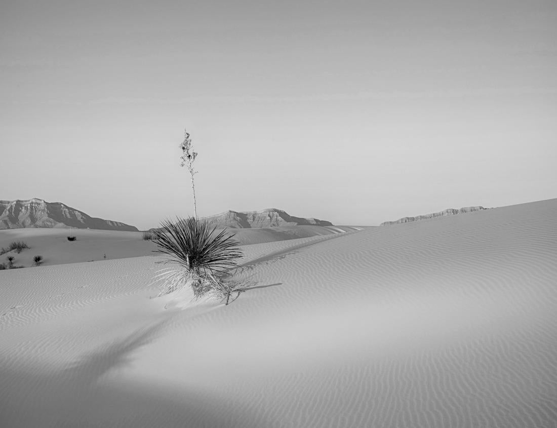 Noah Jigsaw Puzzle Jozankei, Japan hot spring resort town during the autumn season in black white 1000 pieces