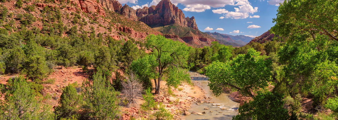 Noah Jigsaw Puzzle View of the Watchman mountain in Zion National park and the virgin river, Utah panorama 1000 pieces