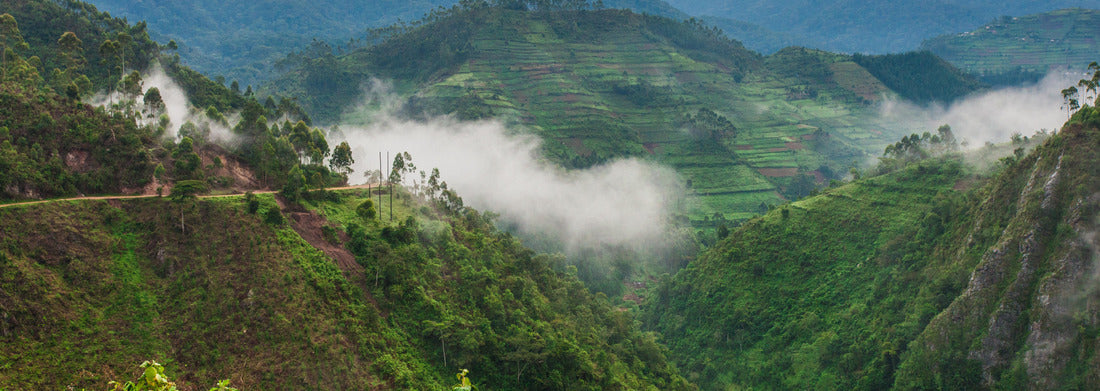 Noah Jigsaw Puzzle Beautiful landscape in southwestern Uganda, at the Bwindi Impenetrable Forest National Park, at the borders of Uganda, Congo and Rwanda. The Bwindi National Park is the home of the mountain gorillas panorama 1000 pieces