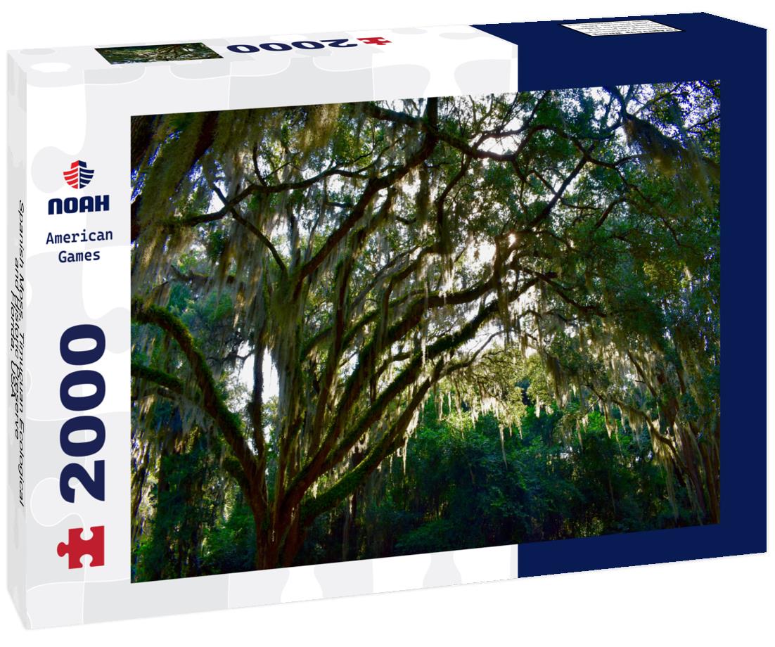 Noah Jigsaw Puzzle Spanish Moss, Timucuan Ecological and Historic Preserve, Florida, USA 2000 pieces