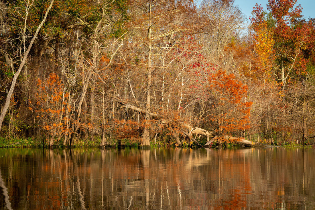 Noah Jigsaw Puzzle wide panoramic view of the Denver , Colorado downtown skyline cityscape 2000 pieces