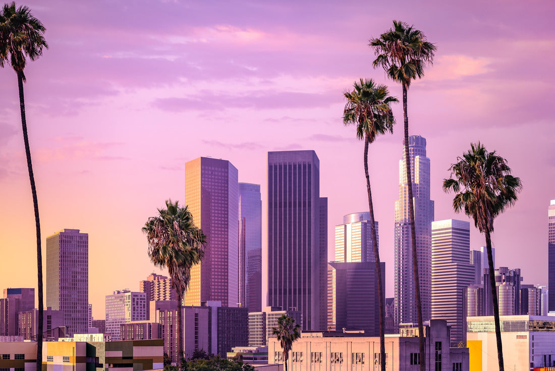 Noah Jigsaw Puzzle Los Angeles skyline at sunset 2000 pieces