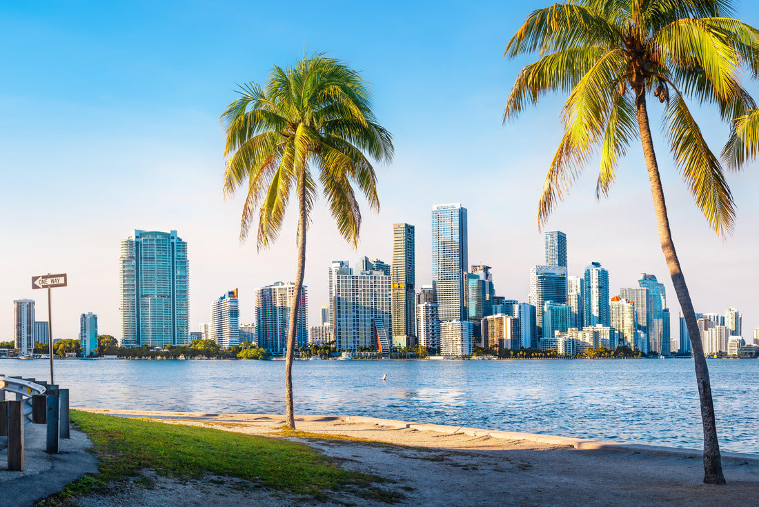 Noah Jigsaw Puzzle the skyline of Miami, Florida 2000 pieces