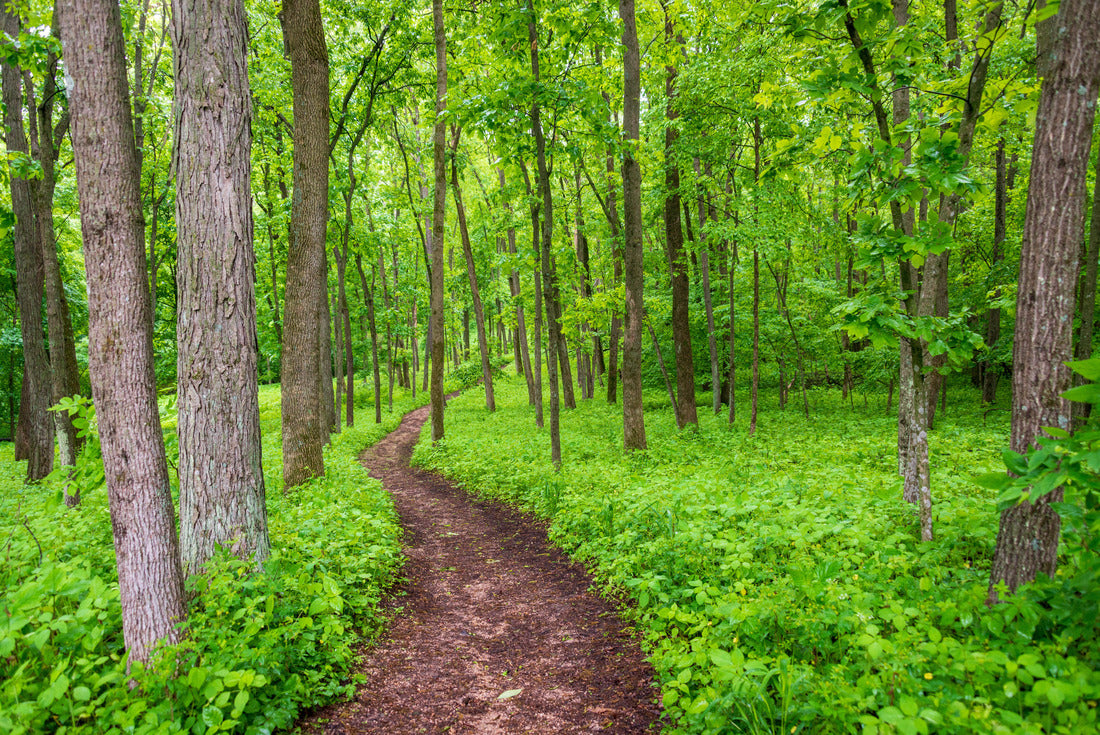 Noah Jigsaw Puzzle Effigy Mounds National Monument in Iowa 2000 pieces