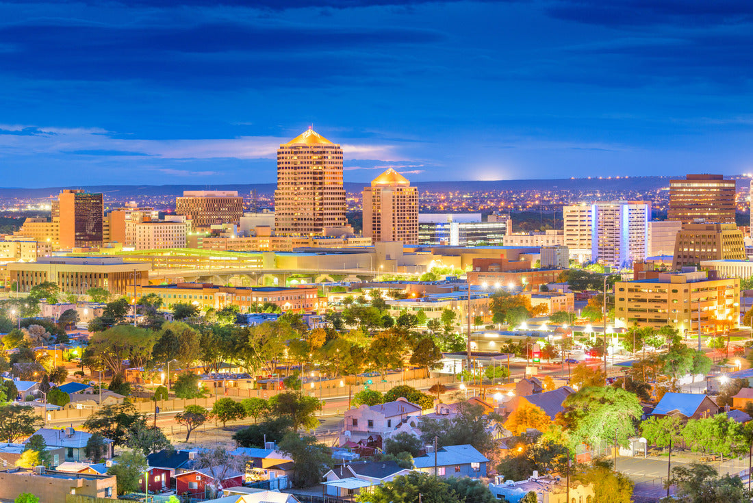 Noah Jigsaw Puzzle Akron, Ohio, USA downtown skyline at dusk 2000 pieces