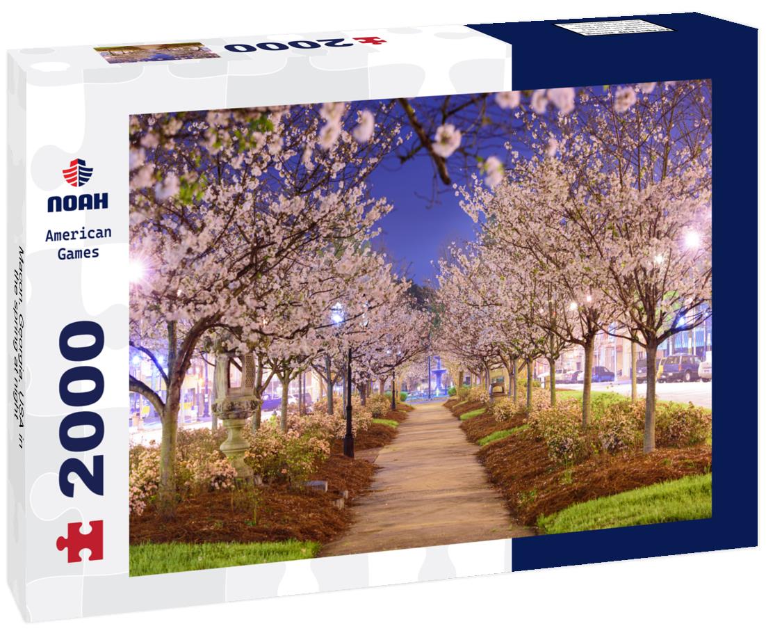 Noah Jigsaw Puzzle Macon, Georgia, USA in the spring at night 2000 pieces