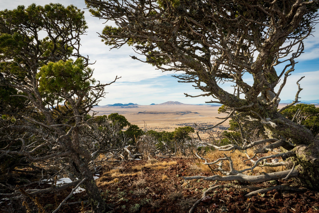Noah Jigsaw Puzzle Capulin Volcano National Monument in New Mexico 2000 pieces