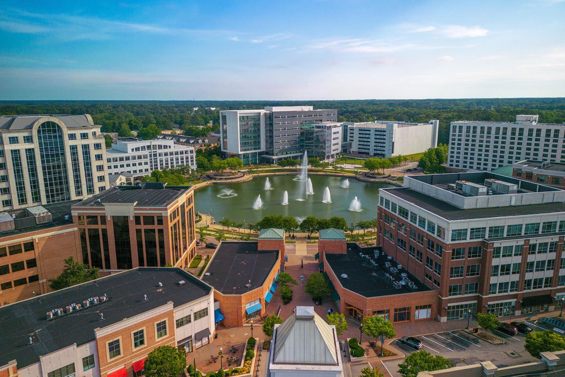 Noah Jigsaw Puzzle Newport News, Virginia, USA city center from above 2000 pieces