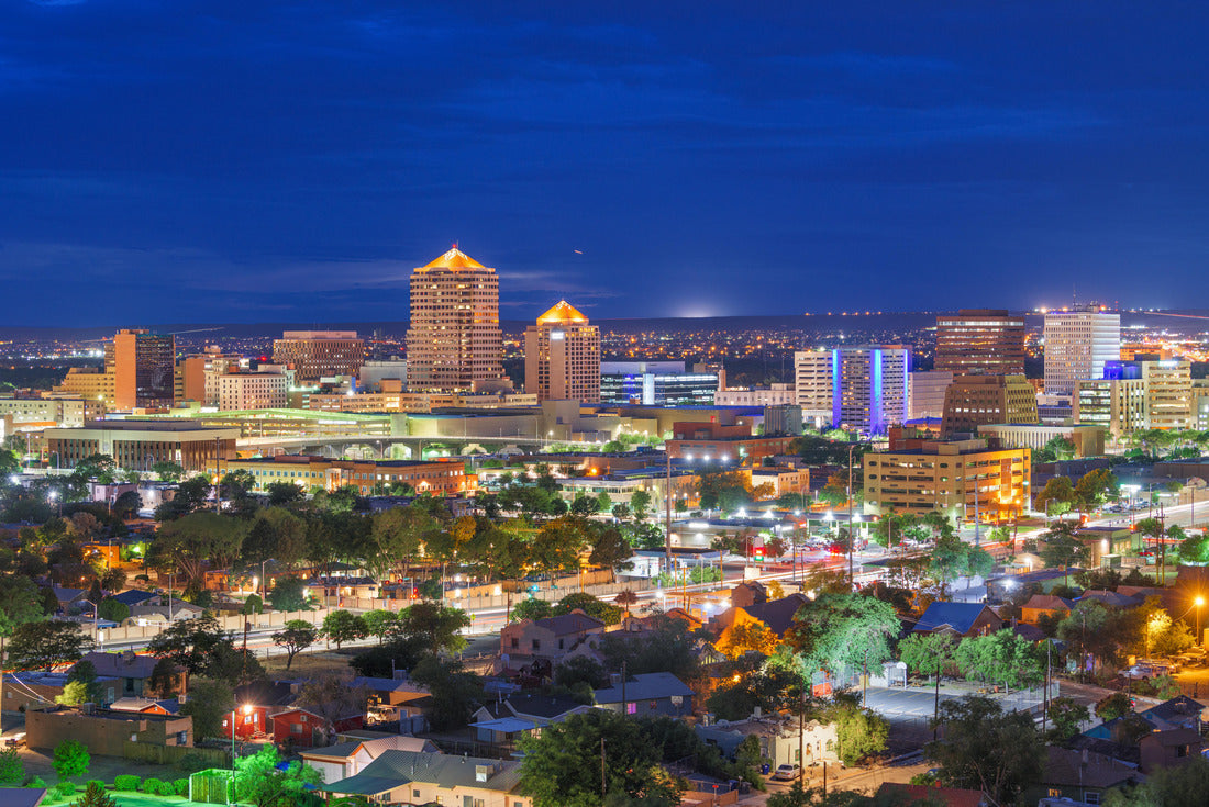 Noah Jigsaw Puzzle Albuquerque, New Mexico, USA downtown cityscape at night 2000 pieces