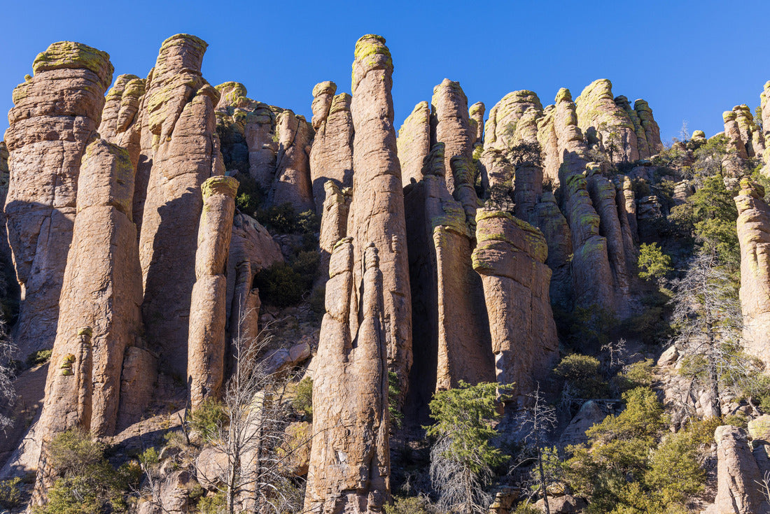 Noah Jigsaw Puzzle Scenic Landscape in the Chiricahua National Monument Arizona 2000 pieces