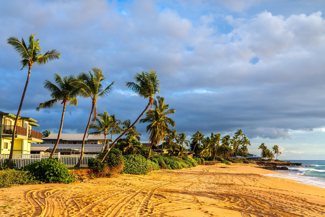 Noah Jigsaw Puzzle Makaha Beach Park in West Oahu Island, Hawaii, United States 2000 pieces