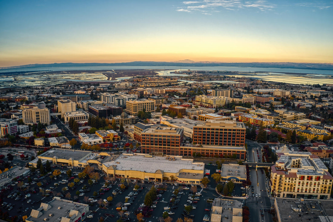 Noah Jigsaw Puzzle Aerial View of the Bay Area Suburb of Redwood City, California 2000 pieces