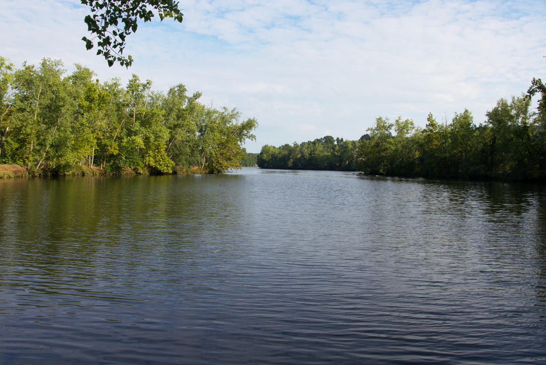 Noah Jigsaw Puzzle Deltona, Florida/USA: The park of green springs is embedded in nature with green spring water 2000 pieces