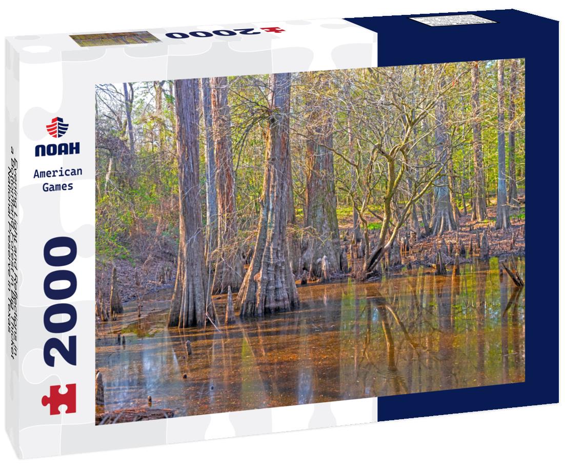 Noah Jigsaw Puzzle Evening Light and Reflections in a Bottomland Forest in Big Thicket National Preserve in Texas 2000 pieces