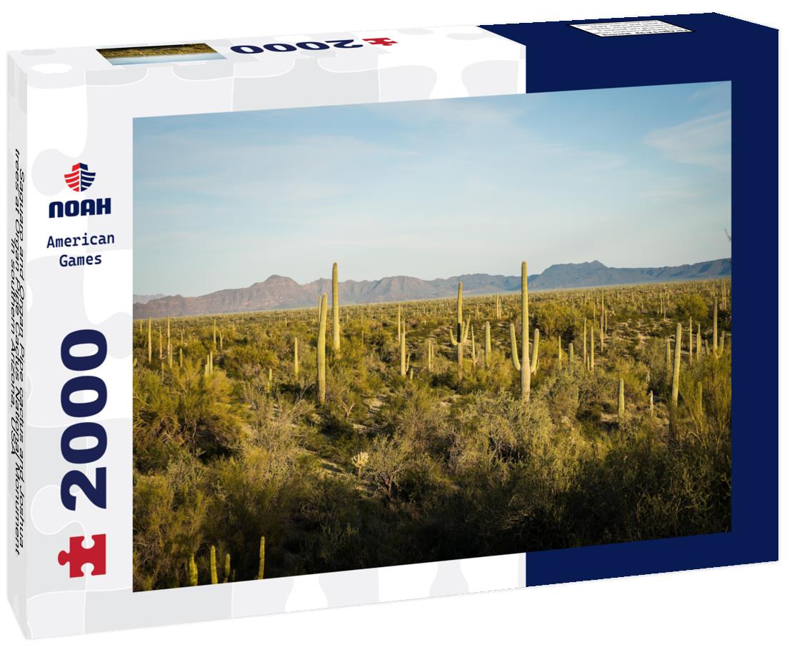 Noah Jigsaw Puzzle Saguaro and Organ Pipe cactus and Joshua trees at Organ Pipe Cactus National Monument in southern Arizona, USA 2000 pieces