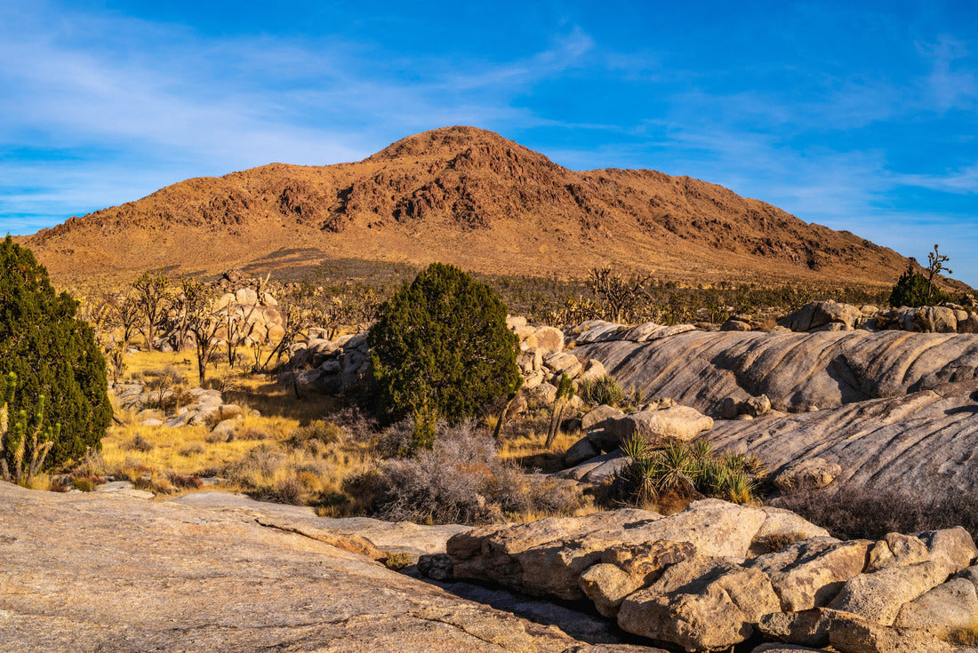 Mojave Desert National Preserve arid landscape, Cima Dome Volcanic Field National Natural Landmark in California, USA 2000pc Puzzle