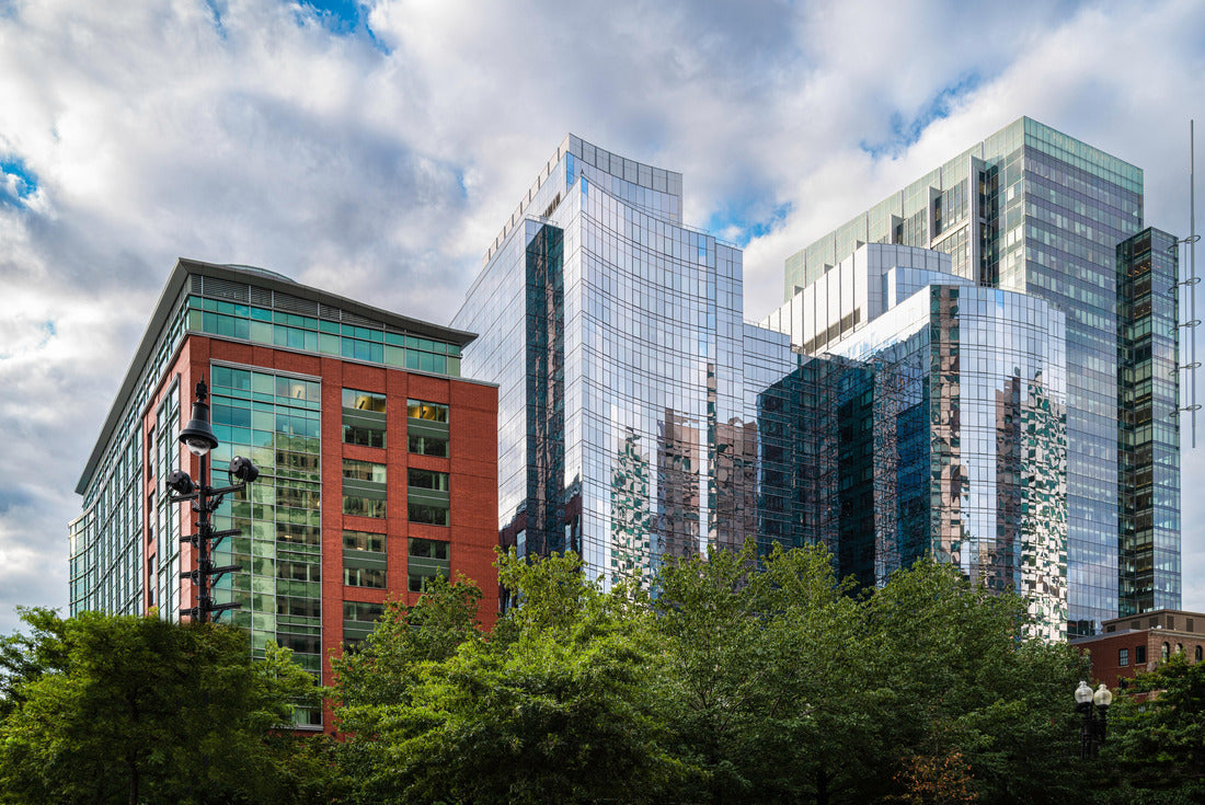 Noah Jigsaw Puzzle Boston Skyline and Cityscape over the green park. Abstract architectural geometry of modern buildings in downtown Boston, Massachusetts 2000 pieces