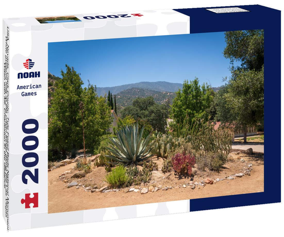 Noah Jigsaw Puzzle USA, Nevada, Clark County, Tule Fossil Beds National Monument: White gypsum hills at the urban fringe along the Las Vegas Wash with Mt. Charleston in the distance 2000 pieces