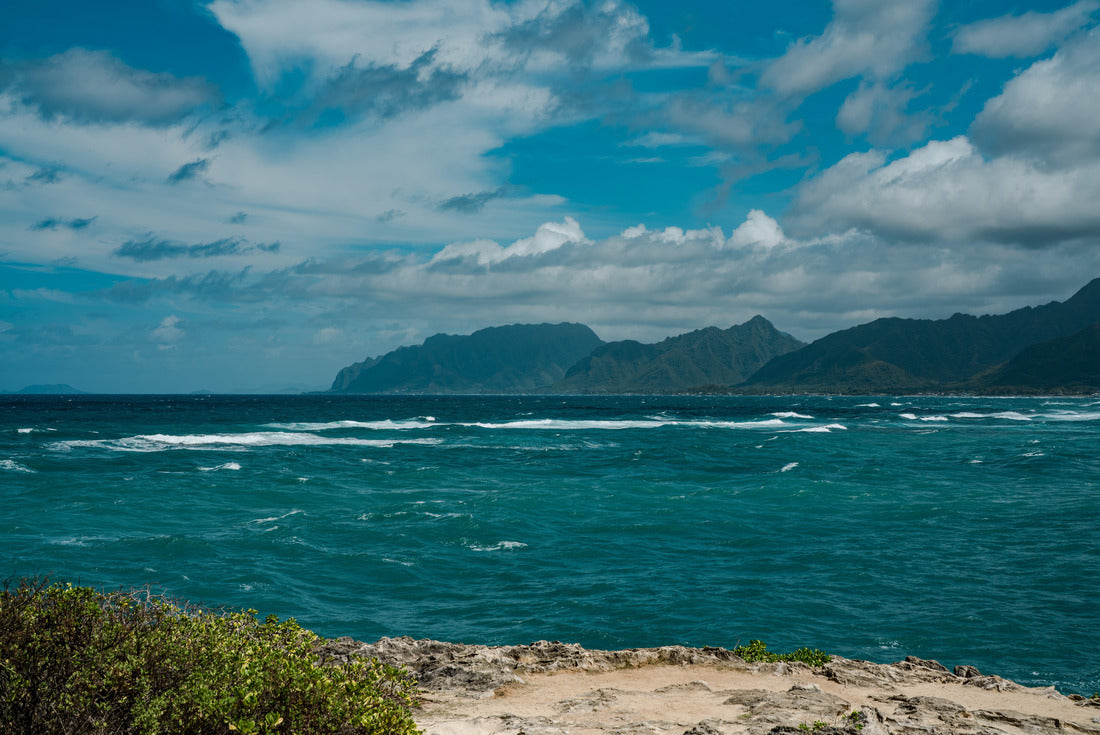 Noah Jigsaw Puzzle Kukuihoolua Island. La?ie Point State Wayside, Oahu, Hawaii. Casuarina equisetifolia, coastal she-oak, horsetail she-oak, beach sheoak, beach casuarina or whistling tree 2000 pieces