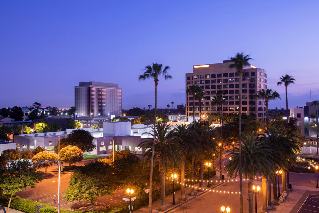 Noah Jigsaw Puzzle Twilight palm tree framing the skyline of downtown Anaheim, California 2000 pieces