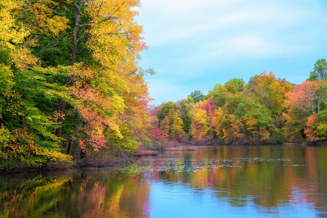 Davidsons Mill Pond fall foliage in New Jersey 2000pc Puzzle