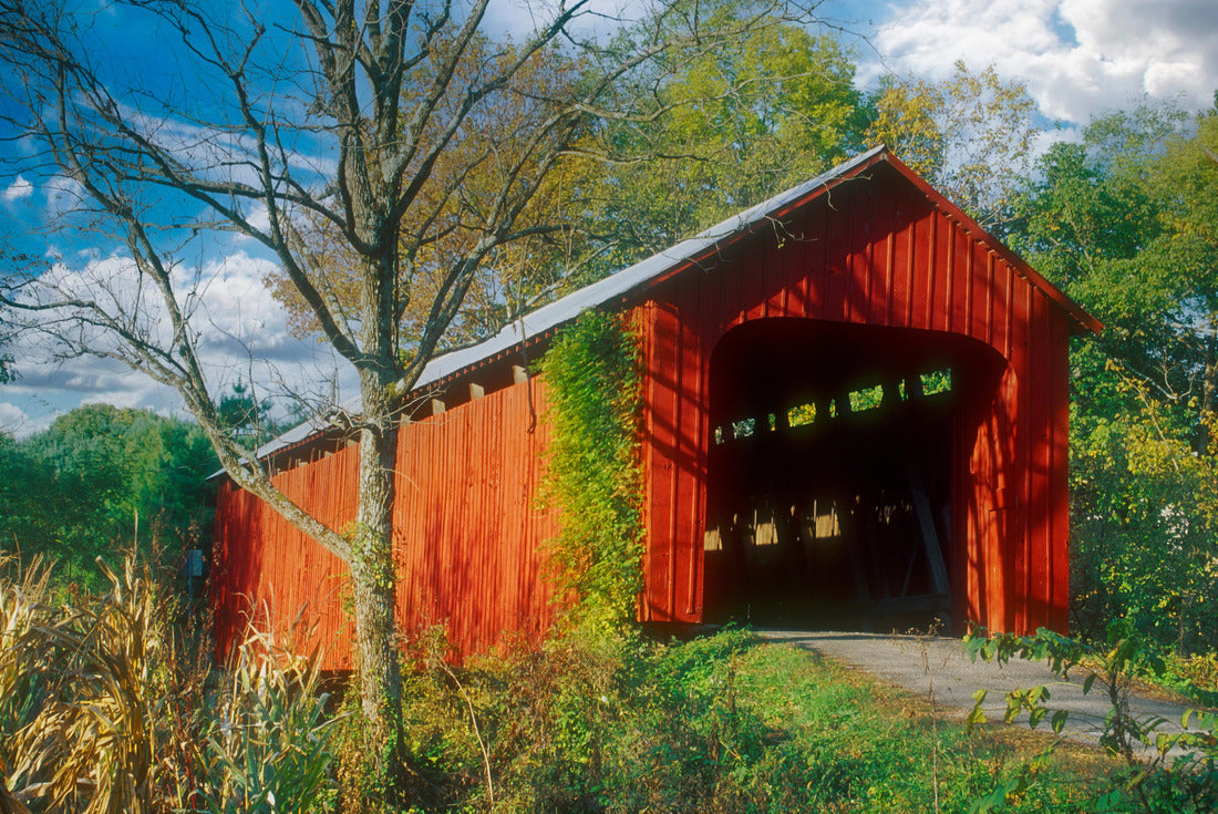 Noah Jigsaw Puzzle James Covered Bridge, Jennings County, Indiana 2000 pieces
