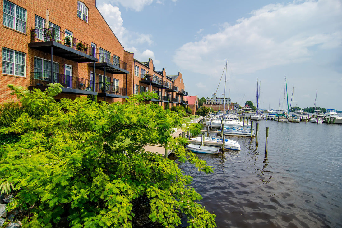 Waterfront scenes in washington North Carolina 2000pc Puzzle