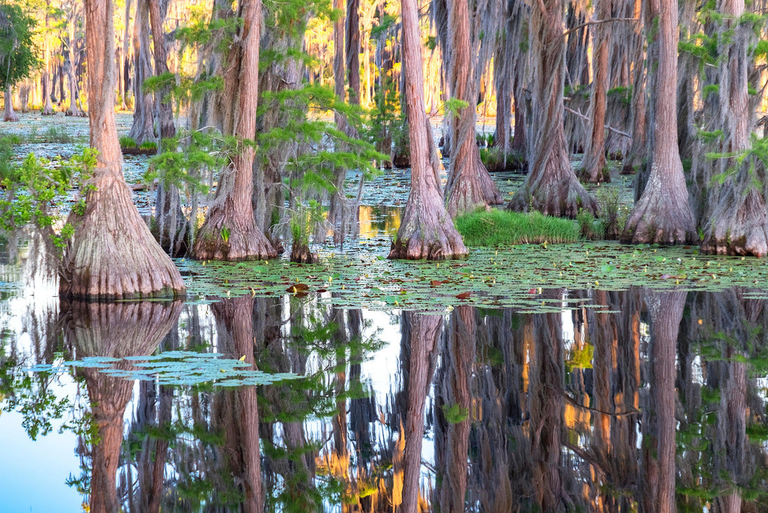 Noah Jigsaw Puzzle Banks Lake Wildlife Refuge, Lakeland, Georgia 2000 pieces