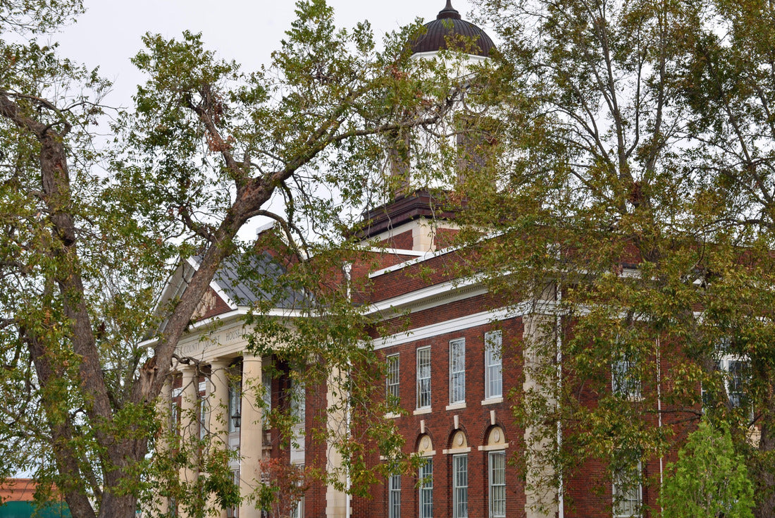 Noah Jigsaw Puzzle Bleckley County Courthouse in Cochran Georgia 2000 pieces