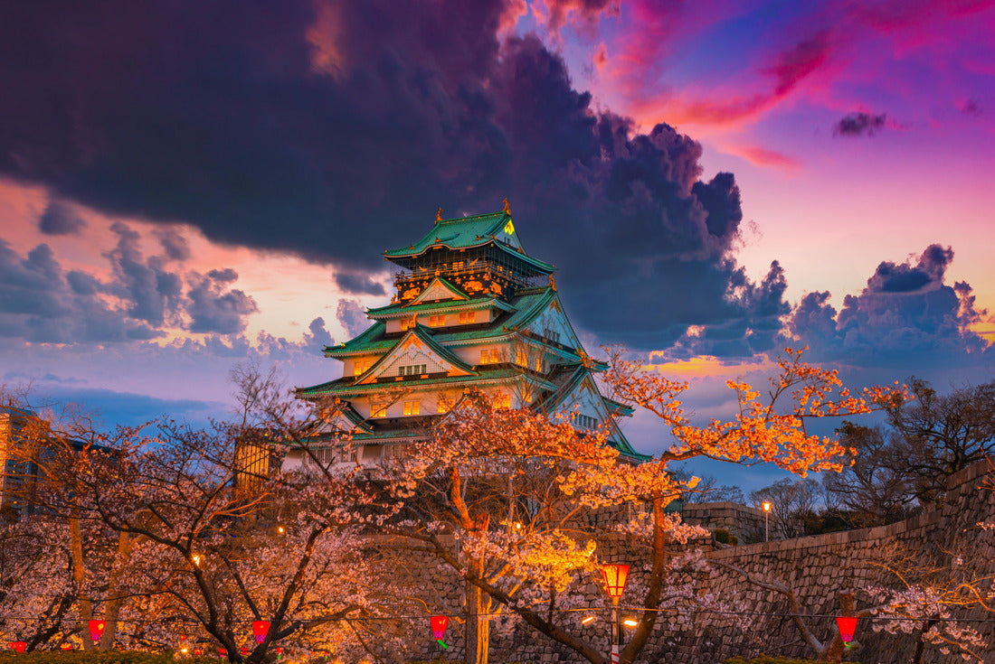 Cherry blossom at Osaka castle Japan at night 2000pc Puzzle