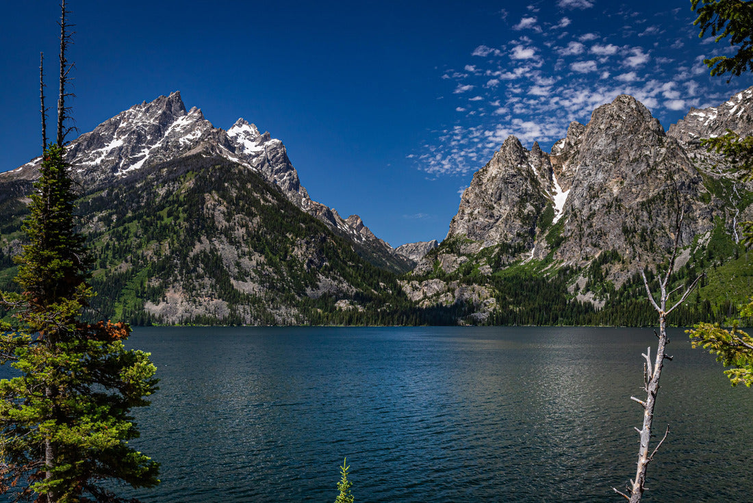 Jenny Lake Grand Teton National Park, Wyoming 2000pc Puzzle