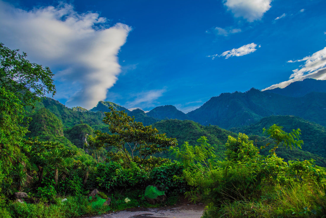 paisaje de bosque natural, sagradas guatemala 2000pc Puzzle