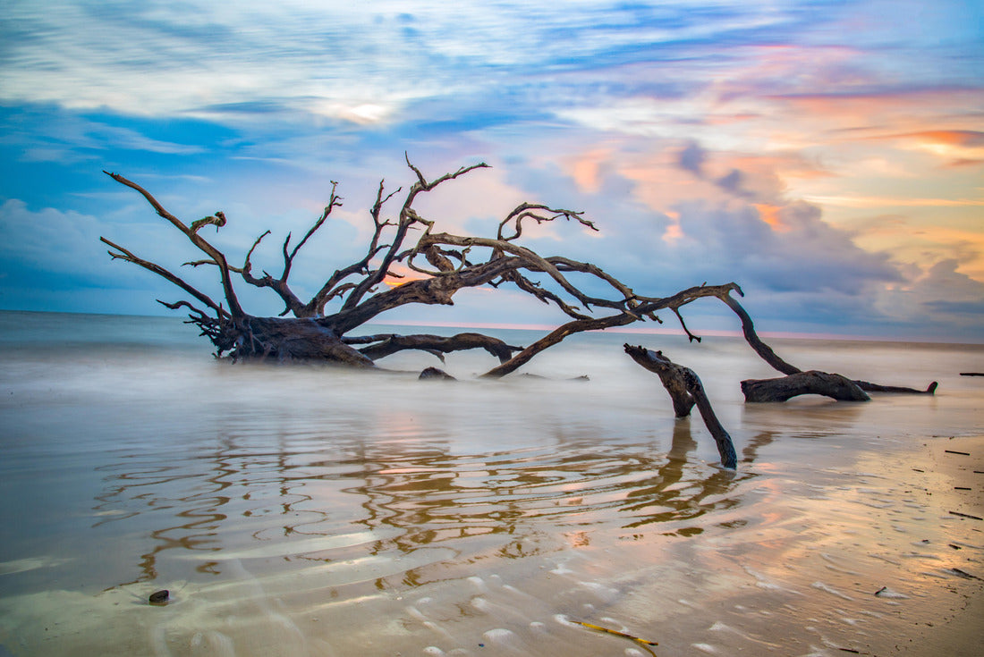 Boneyard Beach in Jekyll Island, Georgia USA 2000pc Puzzle