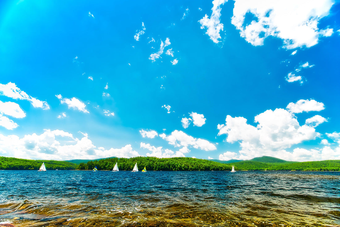 Noah Jigsaw Puzzle The beautiful lakes of Vermont in Springtime 2000 pieces