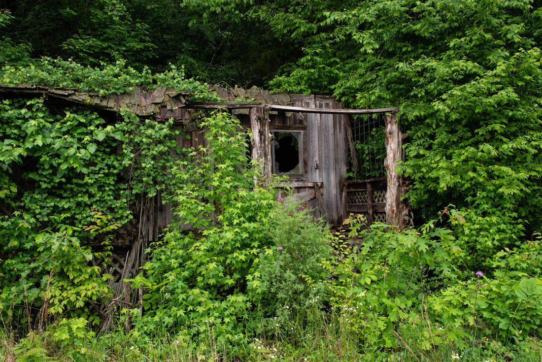 Overgrown building near Hot springs Arkansas 2000pc Puzzle