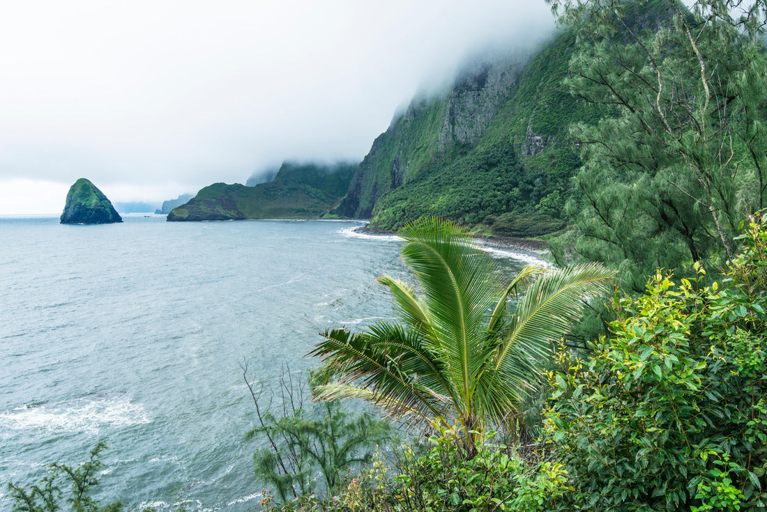 USA, Hawaii, Molokai, Kalaupapa, Foggy Coast 2000pc Puzzle