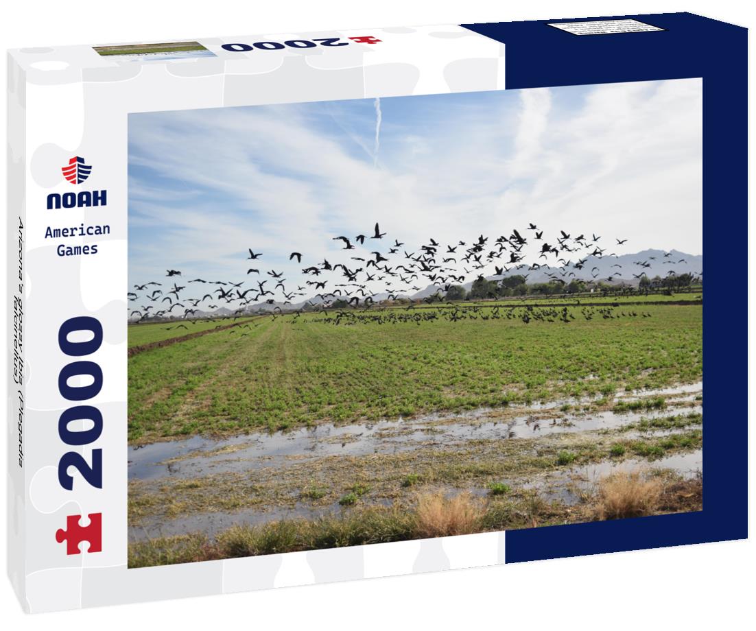 Arizona's glossy Ibis (Plegadis falcinellus) 2000pc Puzzle