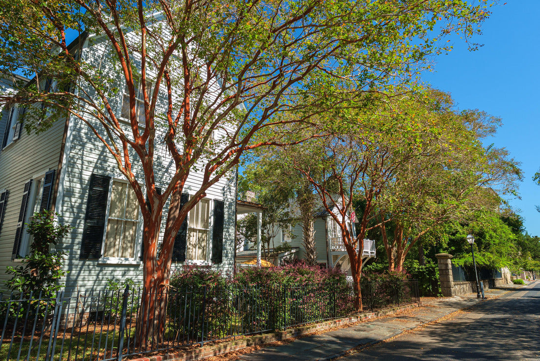 Southern homes in Charleston, South Carolina 2000pc Puzzle